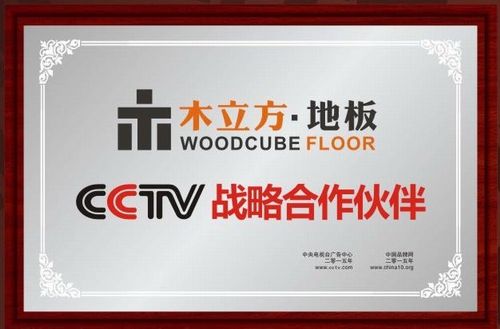 木立方地板 CCTV戰略伙伴