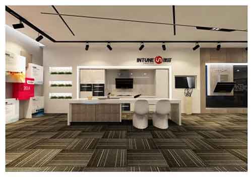 銀田斥巨資登陸央視 勇攀廚電品牌高峰 銀田斥巨資登陸央視 勇攀廚電品牌高峰