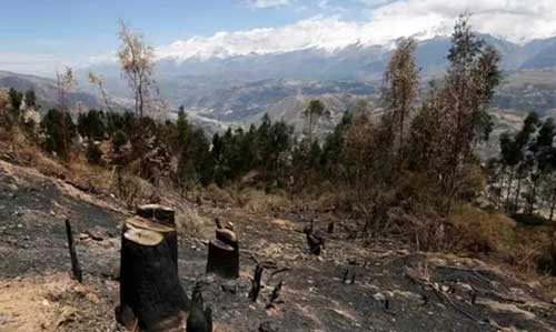 木材漲!運(yùn)費(fèi)漲!人工漲!座墊玻璃漲!對(duì)不起，我們也要漲價(jià)了!!!