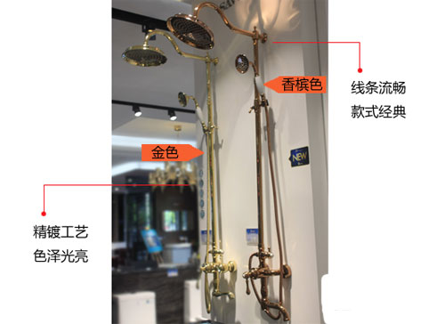 產品測評：賽唯雅（SAVOIA）大淋浴花灑SF813309