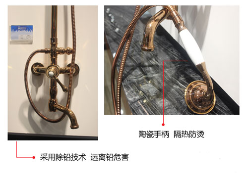 產品測評：賽唯雅（SAVOIA）大淋浴花灑SF813309