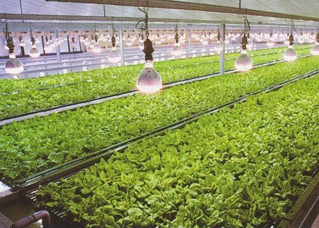 盤點出十大LED照明行業(yè)主要應(yīng)用領(lǐng)域 盤點出十大LED照明行業(yè)主要應(yīng)用領(lǐng)域