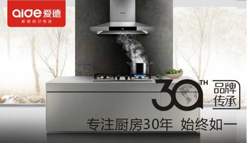 愛德廚衛參與“中國十大抽油煙機品牌”評選