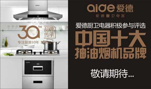 愛德廚衛參與“中國十大抽油煙機品牌”評選