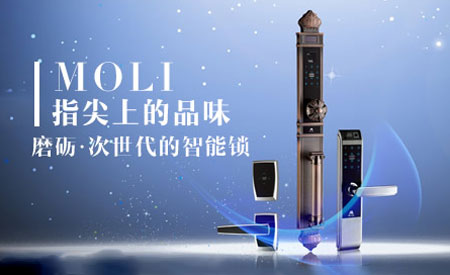 2017-2018年中國十大指紋鎖品牌排行榜 2017-2018年中國十大指紋鎖品牌排行榜