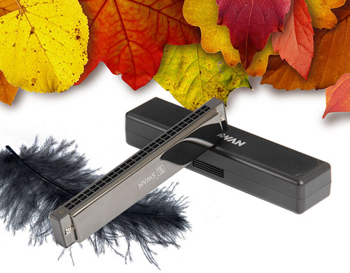 敲擊樂器知識講堂：最適合女生學的十大樂器介紹