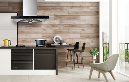 中小廚房電器企業打破常規,尋求屬于自身的發展之路 中小廚房電器企業打破常規,尋求屬于自身的發展之路