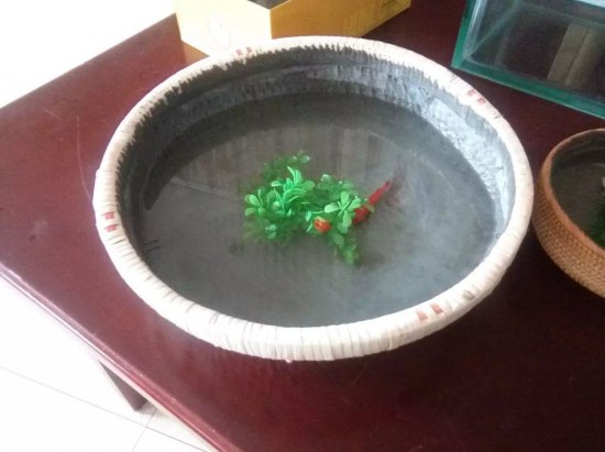 防水博士“博士標準”選材與施工分享會盛大舉行