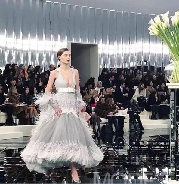 羽毛，賦予奢華壁紙獨(dú)一無二的靈氣