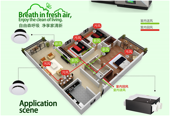 FED新風 許你繁華似錦的前程