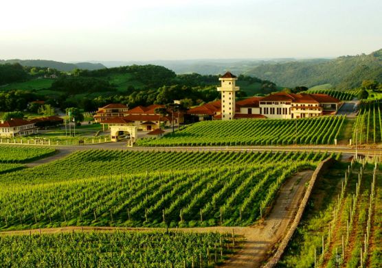 品牌大事| Movelsul巴西家具展 Eurooo開拓之旅仍在繼續 品牌大事| Movelsul巴西家具展 Eurooo開拓之旅仍在繼續