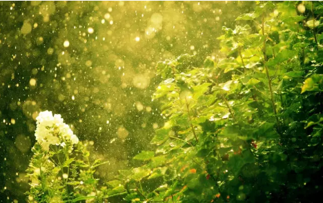 品牌產品|嘉俊瓷拋石·遇見生命中的明媚陽光