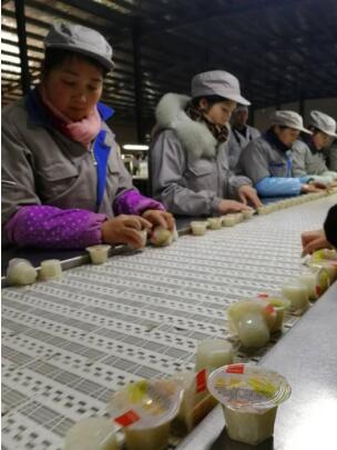 品牌發(fā)展|米酒變零食:良品鋪子米釀?wù)Q生記 品牌發(fā)展|米酒變零食:良品鋪子米釀?wù)Q生記