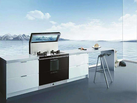 滿足消費者需求 十大集成灶品牌借力服務進軍高端市場