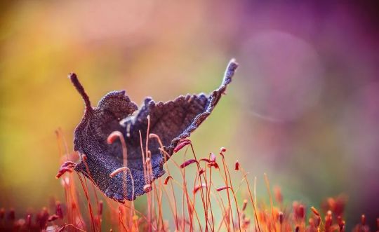 品牌產(chǎn)品|人民電器R86-L9繹彩系列,開(kāi)啟光彩人生 品牌產(chǎn)品|人民電器R86-L9繹彩系列,開(kāi)啟光彩人生