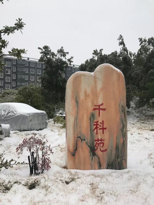 千科潘遠(yuǎn)宏：智能產(chǎn)品、智慧營(yíng)銷一手抓，智能終端是品牌最后浪潮