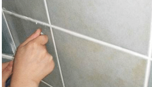 美特朗美縫劑實力領先，值得創業者去選擇