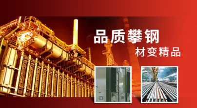 攀鋼ANSTEEL 攀鋼ANSTEEL