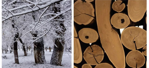 兔寶寶“黑科技”—抗龜裂生態(tài)板,了解一下 兔寶寶“黑科技”—抗龜裂生態(tài)板,了解一下