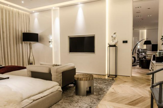 行業(yè)分析|中國智能家居品牌獨食難肥，需形成一個生態(tài)整體