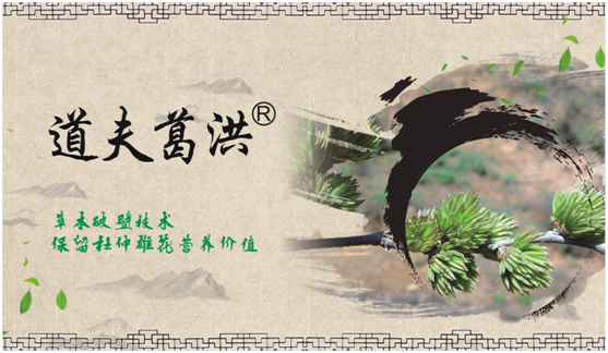 道夫葛洪掛面 食補讓你更懂的生活 道夫葛洪掛面 食補讓你更懂的生活