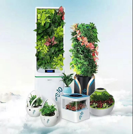 品牌人物|居薛宏:將“微森林”引進家庭 做空氣“清道夫” 品牌人物|居薛宏:將“微森林”引進家庭 做空氣“清道夫”