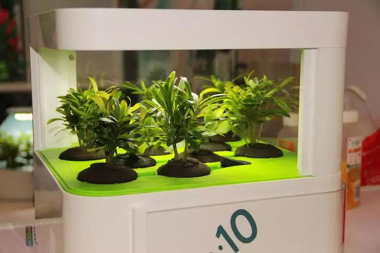 品牌人物|居薛宏:將“微森林”引進家庭 做空氣“清道夫” 品牌人物|居薛宏:將“微森林”引進家庭 做空氣“清道夫”