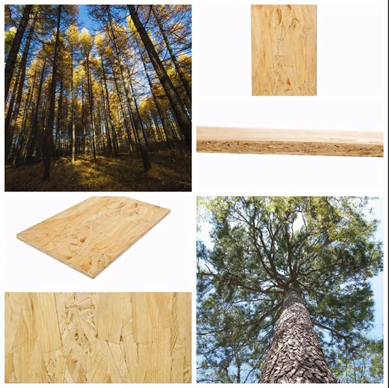 趁勝追擊！萬象品牌二代家具板材馭世駕臨