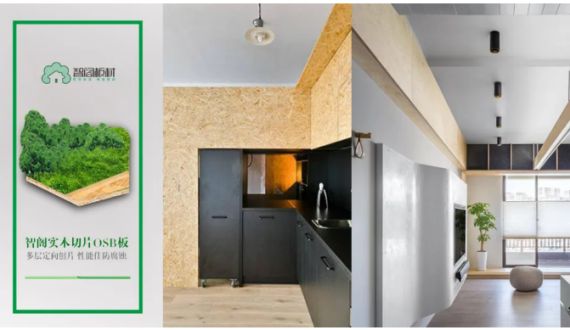 智閣環保生態板：你的健康，我們守護