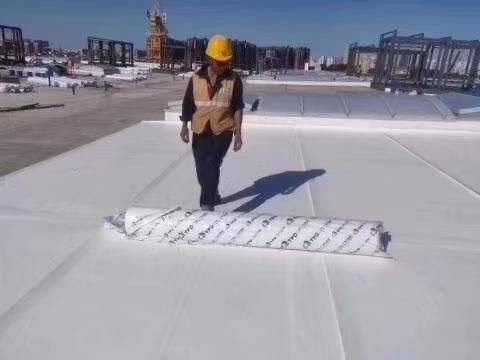 東方雨虹復(fù)合防水卷材在紅旗長春基地項(xiàng)目的應(yīng)用案例