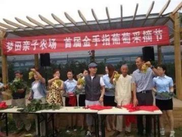 讓休閑農業莊園頭疼的營銷策劃:你需要一個動聽的好故事 讓休閑農業莊園頭疼的營銷策劃:你需要一個動聽的好故事