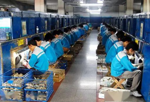 品牌招商|輝煌廚衛7大優勢，帶你快速掘金!