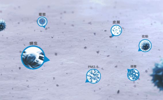 空氣凈化器產(chǎn)品|碧呼吸?Betterair從根本上解決室內(nèi)污染 空氣凈化器產(chǎn)品|碧呼吸?Betterair從根本上解決室內(nèi)污染