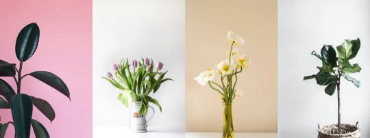 從2020家居潮流4大關(guān)鍵詞出發(fā)，為您解讀燈飾設(shè)計(jì)新趨勢(shì)