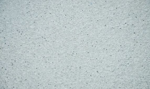 品牌活動|薩拉瑪藝術漆在公司對師傅進行新工藝培訓