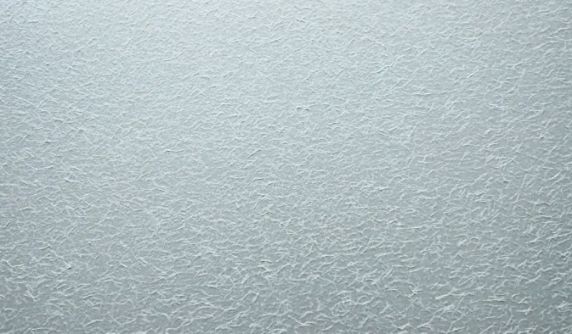 品牌活動|薩拉瑪藝術漆在公司對師傅進行新工藝培訓