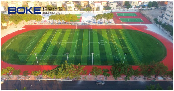 柏克體育：不斷追求卓越，品質鑄就品牌