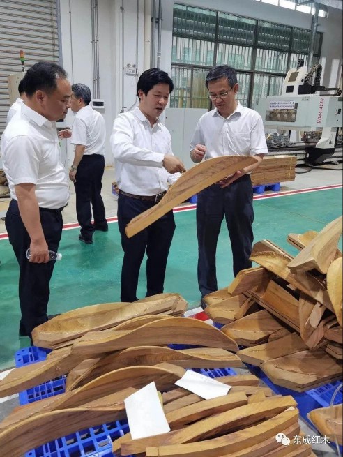 廣東省林業廳領導到五華紅木產業園進行參觀考察 廣東省林業廳領導到五華紅木產業園進行參觀考察