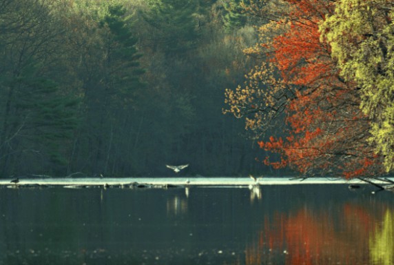 海爾雙增壓零冷水熱水器TR7，水流即刻沖走汗水和暑氣