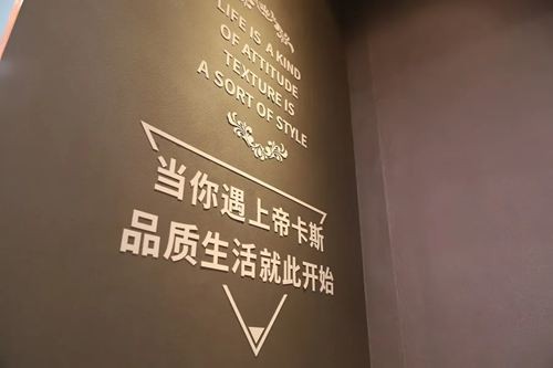 【2020廣州建博會】帝卡斯藝術(shù)漆獨(dú)領(lǐng)風(fēng)騷 展館人氣爆棚！