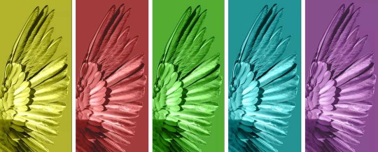 雅麗斯五金展廳升級 | 極簡之翼，正在展翅翱翔！