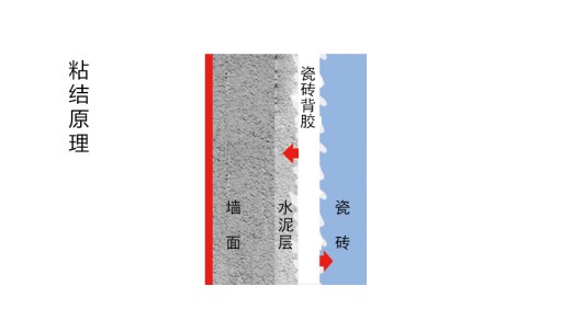 瓷磚背膠粘與不粘，不能作為產品好壞及產品質量的依據