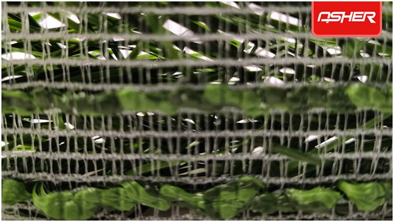 亞設體育發布ENOCH以諾真假混織草坪,或將引爆行業趨勢 亞設體育發布ENOCH以諾真假混織草坪,或將引爆行業趨勢