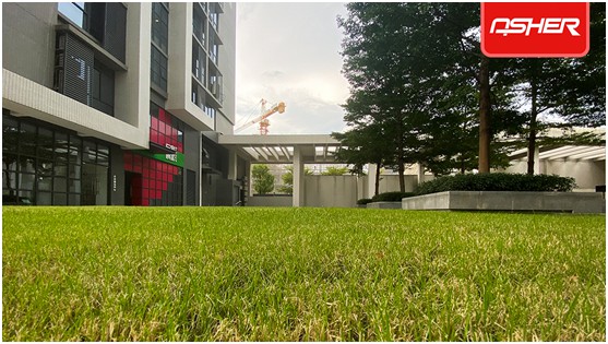 亞設體育發布ENOCH以諾真假混織草坪,或將引爆行業趨勢 亞設體育發布ENOCH以諾真假混織草坪,或將引爆行業趨勢