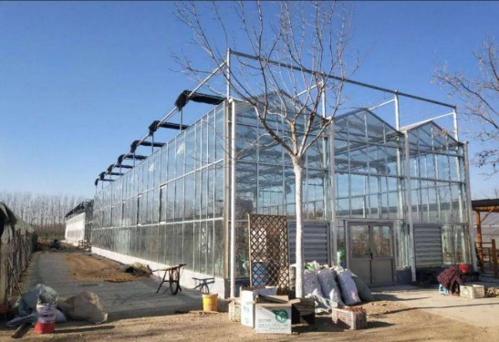 利普曼空氣能進駐農(nóng)業(yè)大棚，智能溫控穩(wěn)作物生長 