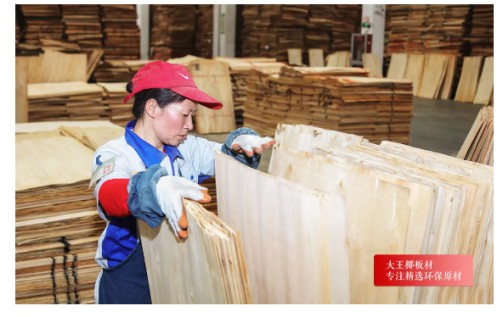 大王椰A7家具板:5A級精選環保原材,健康挑出來 大王椰A7家具板:5A級精選環保原材,健康挑出來