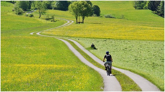 澳克士照明：用光打造異域風情 領略別樣光影美學