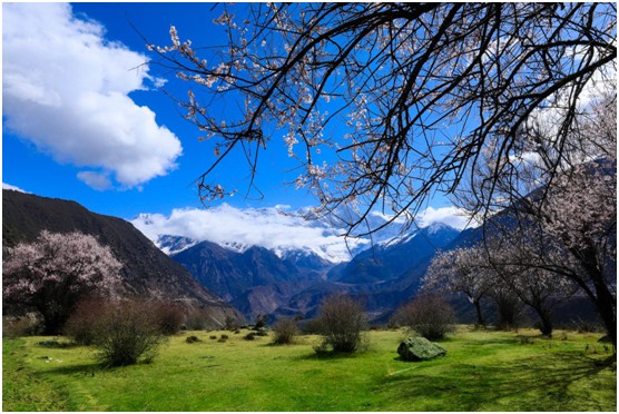 走入巴斯丹頓陽光房，親近自然清新的田園生活