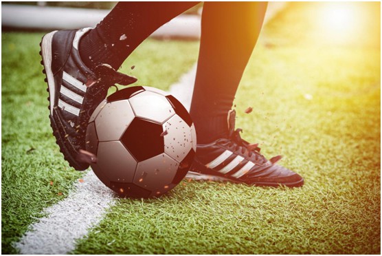 柏克體育:霜降時節 我們一起去運動吧!