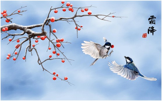 柏克體育:霜降時節 我們一起去運動吧!